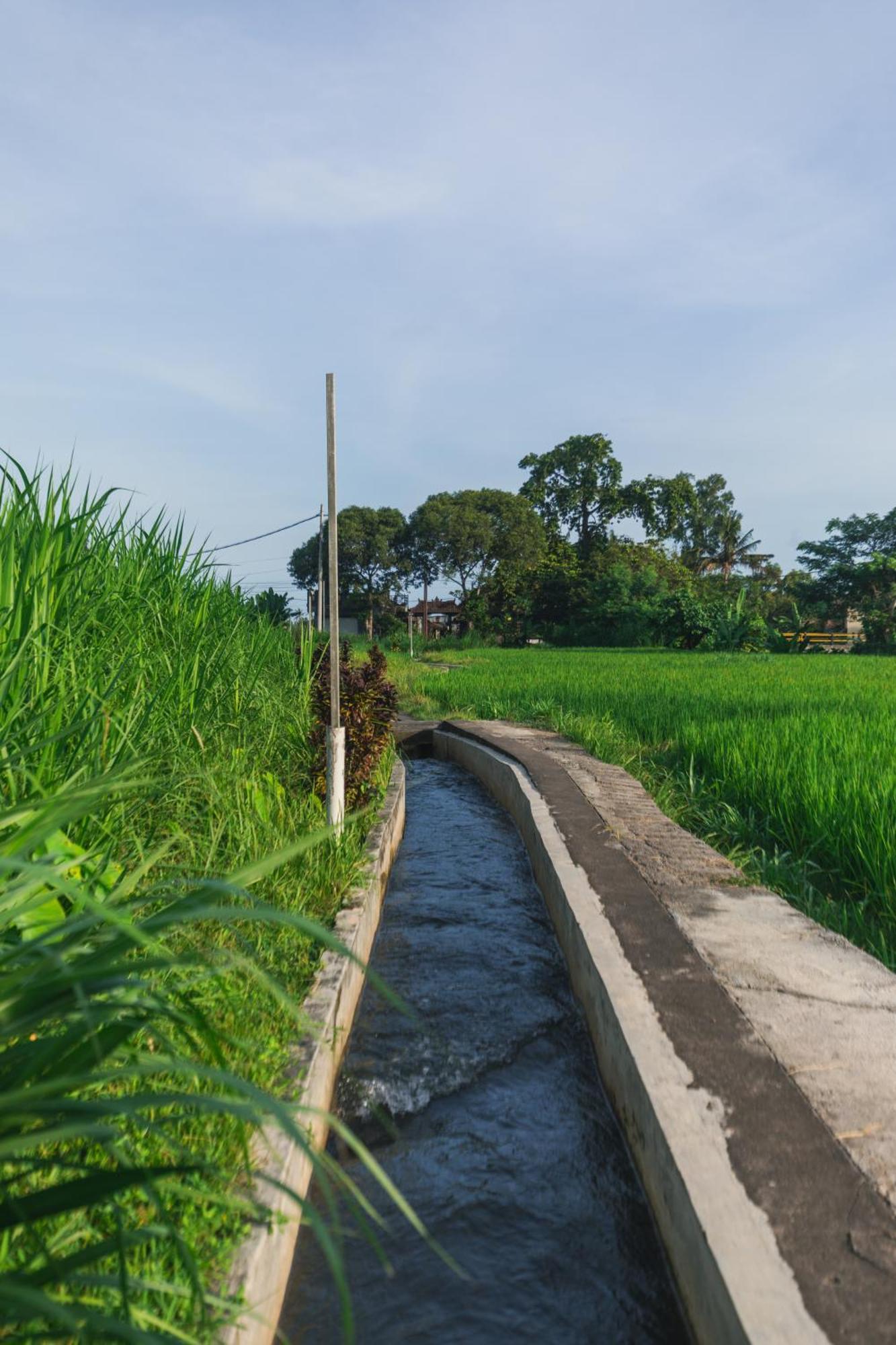 Hotel Camani Glamping Karangasem Esterno foto