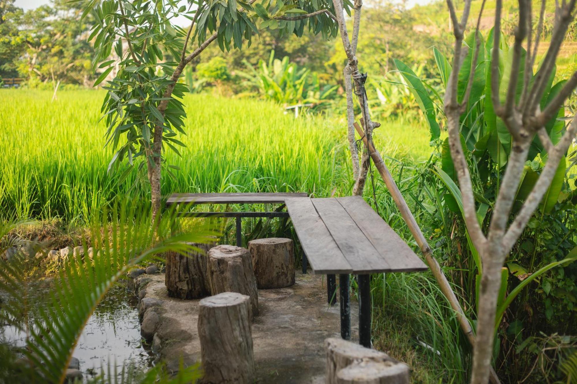 Hotel Camani Glamping Karangasem Esterno foto