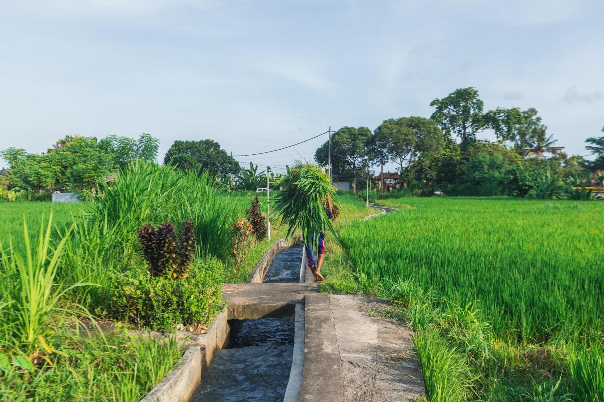 Hotel Camani Glamping Karangasem Esterno foto