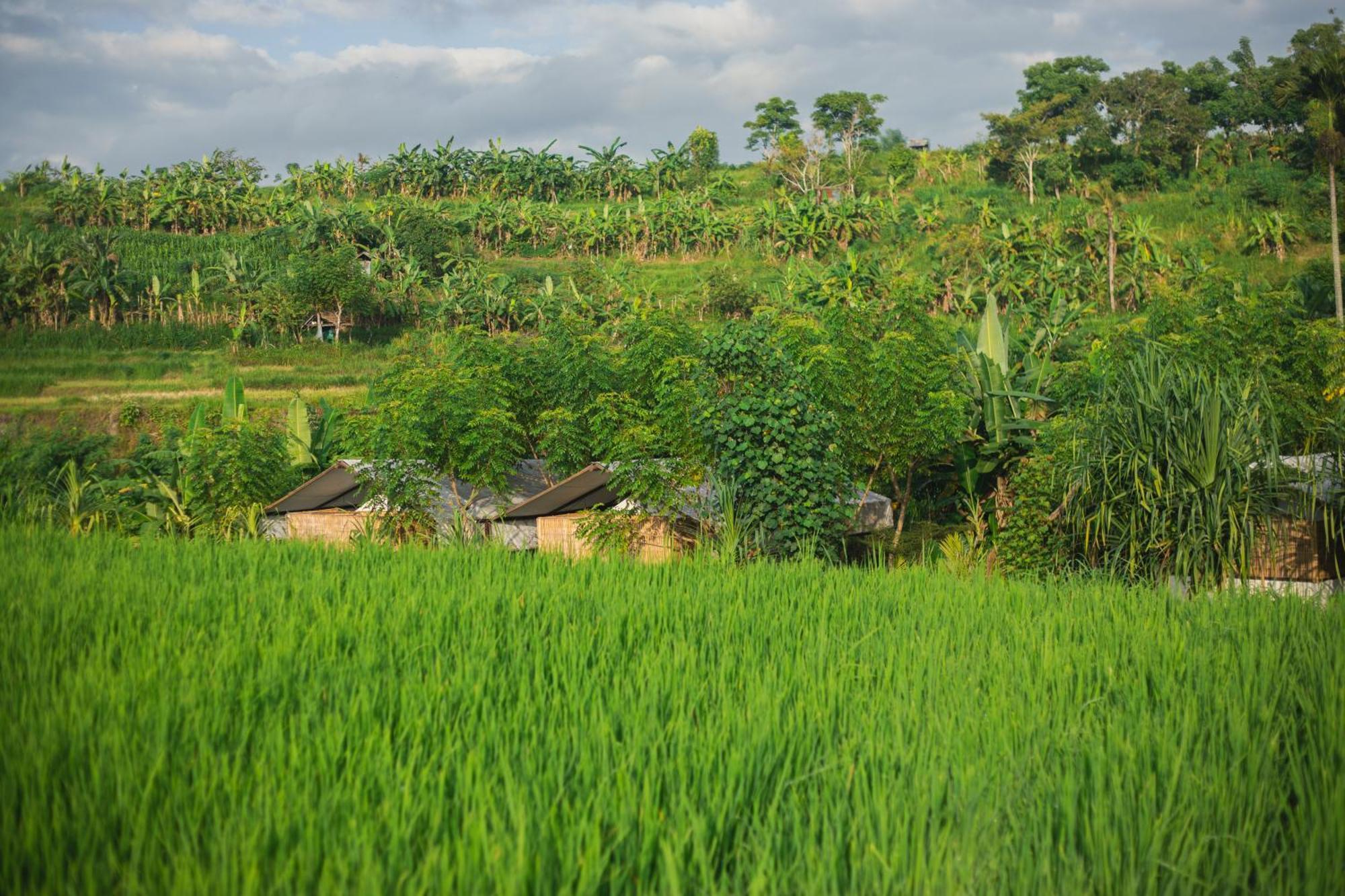 Hotel Camani Glamping Karangasem Esterno foto
