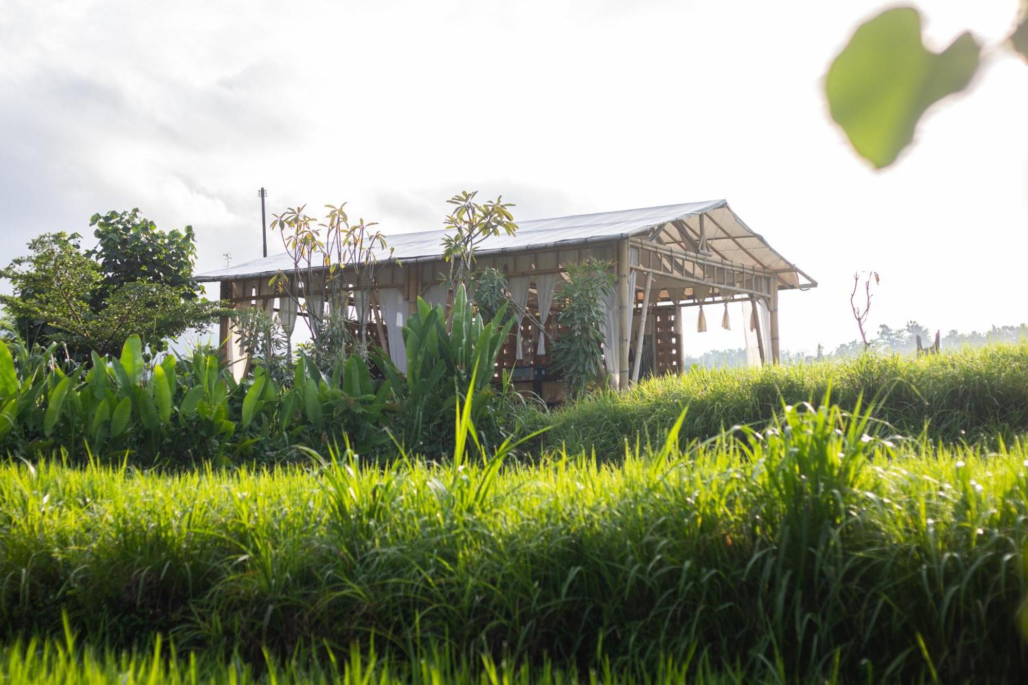 Hotel Camani Glamping Karangasem Esterno foto
