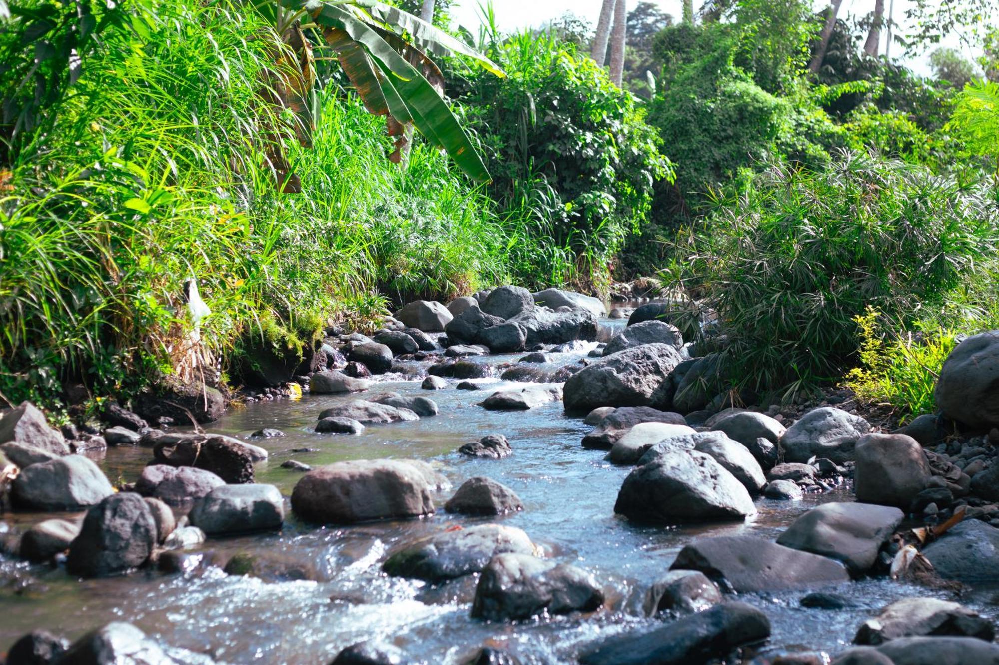 Hotel Camani Glamping Karangasem Esterno foto
